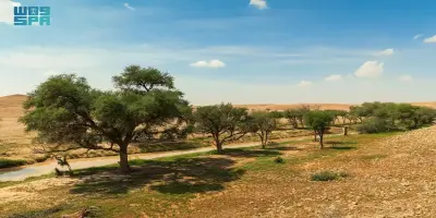 Imam Abdulaziz Royal Reserve: Riyadh’s Natural Wonderland of Rocks and Rare Wildlife
